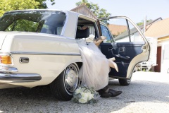 Brautpaar_Ruecksitzbank