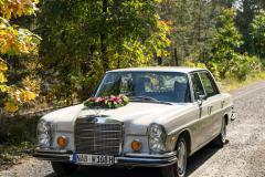 Fahrzeug-auf-Waldweg-links