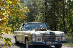 Fahrzeug-auf-Waldweg-rechts1