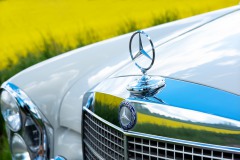 Hochzeitsoldtimer-Mercedes-W108-Mercedesstern