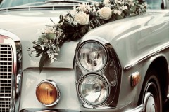 Titelbild-hochaufloesend_neu